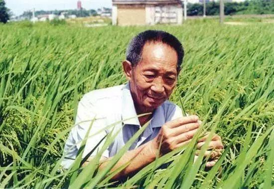 一日三餐，米香彌漫，飽食者當(dāng)憶袁公！
