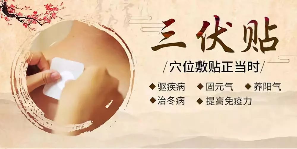 關(guān)于三伏貼，你了解多少呢？