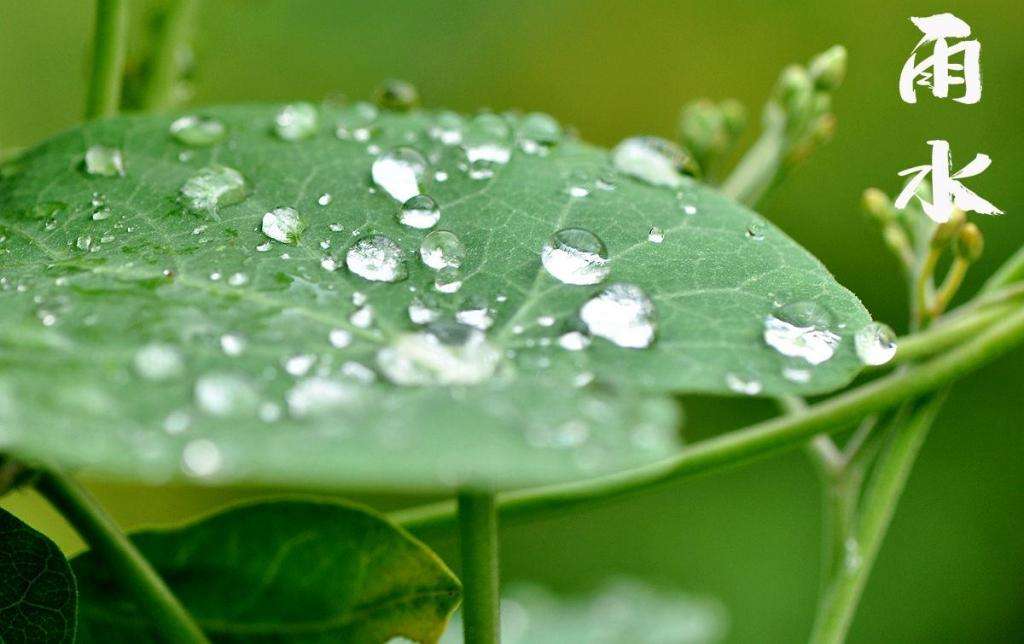雨水！